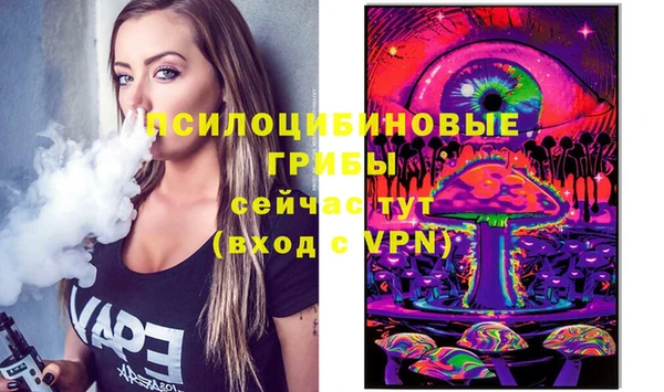 прущая мука Алзамай
