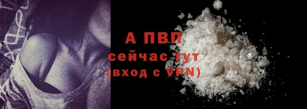 шишки Нягань
