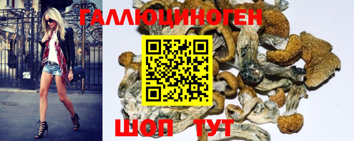 Слободской  Галлюциногенные грибы Magic Shrooms  Вход с VPN 